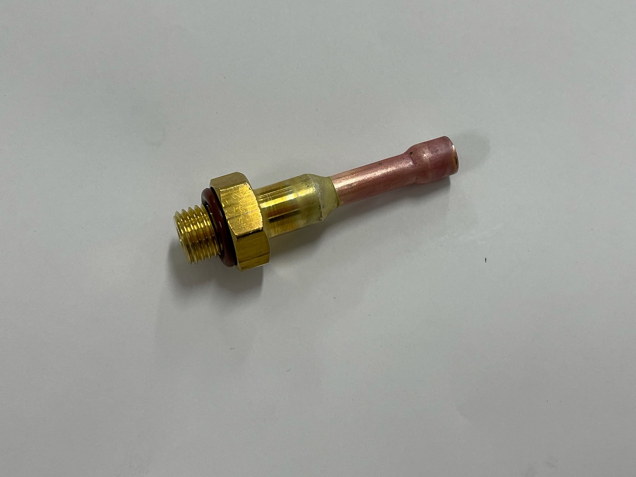 1559017
